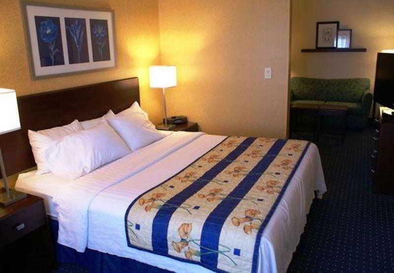 Springhill Suites Pittsburgh Mills Tarentum Rum bild